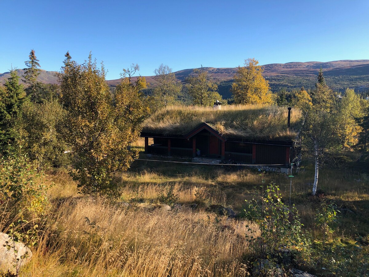舒适的家庭小木屋，距离奥斯陆2.5小时车程， 30分钟Norefjell