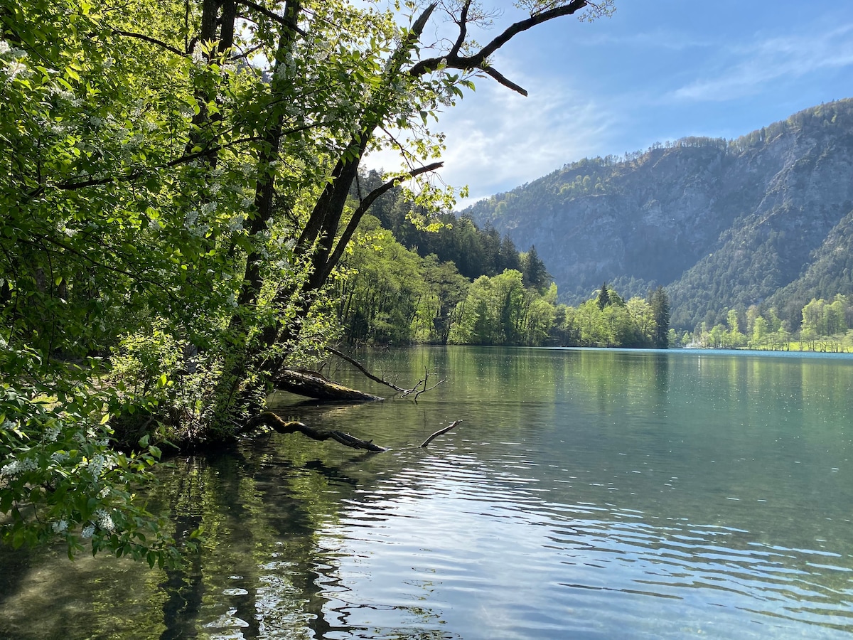 独立房间| Bad Reichenhall |靠近军营