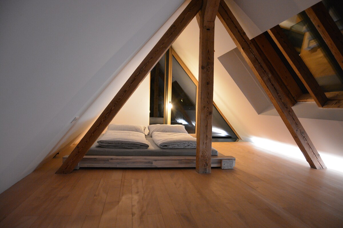 The Attic Loft - Architekten Loft im Rheintal