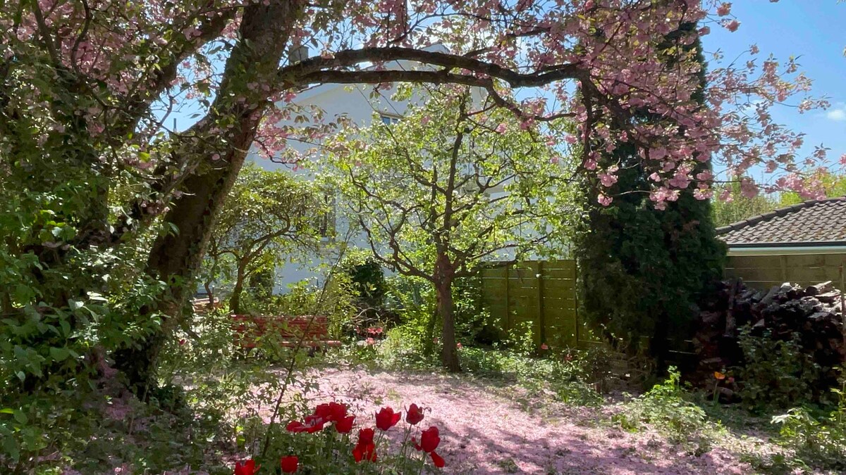 Glyzinienzimmer im au jardin