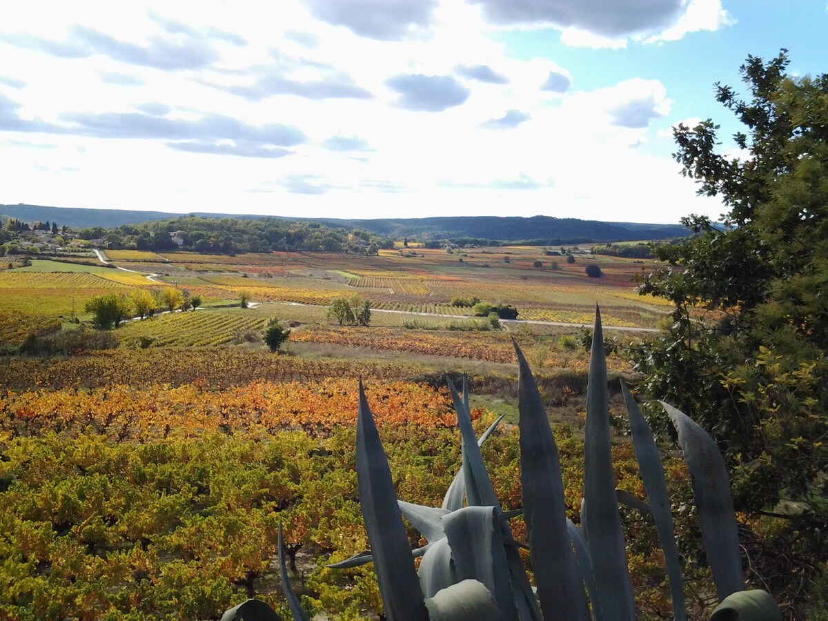 Mirador Sur Les Vignes  7 Personnes