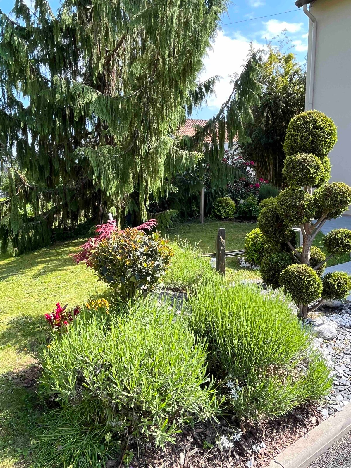 Adorable petite maison d’hôtes