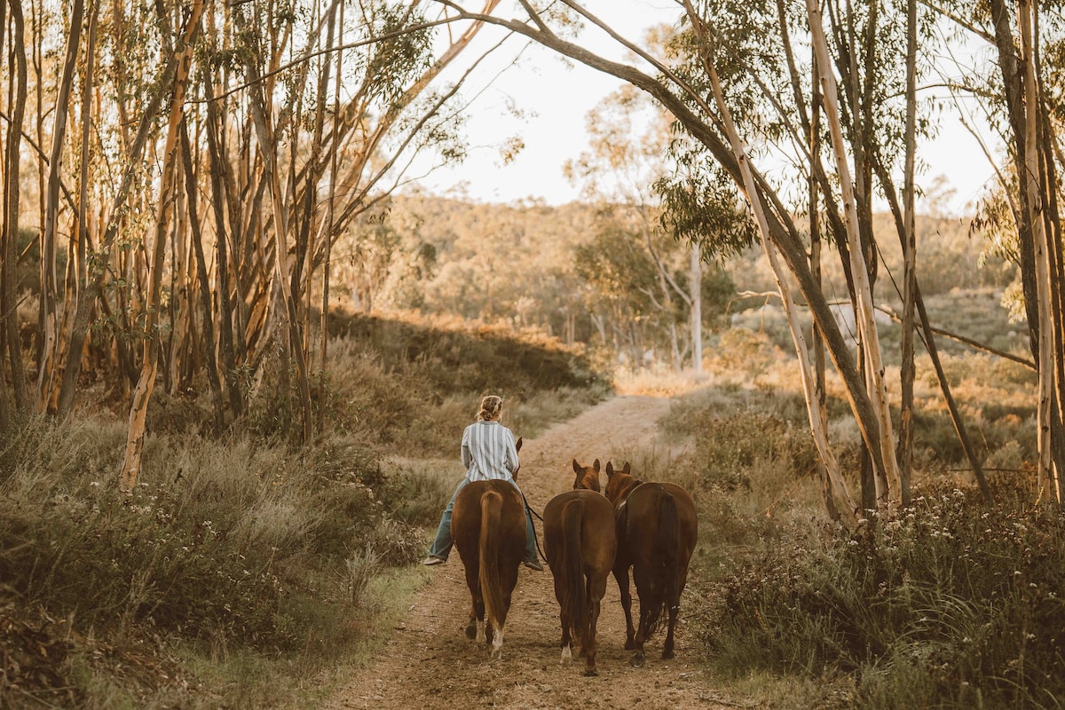 San Diego Trail Guest Ranch