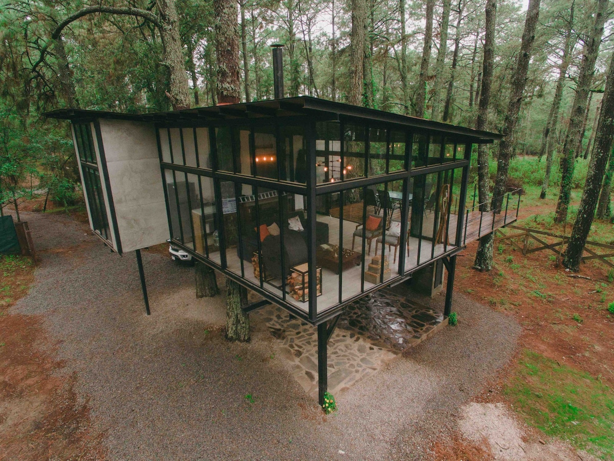 The Nest, Tree Cabin, Tapalpa A.