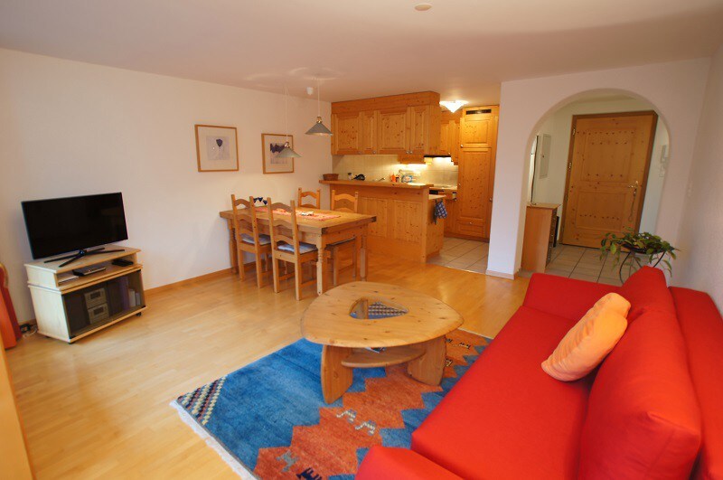 Ferienwohnung TRAFÖGL ， （ SCUOL ） ，公寓，可供2-4人入住