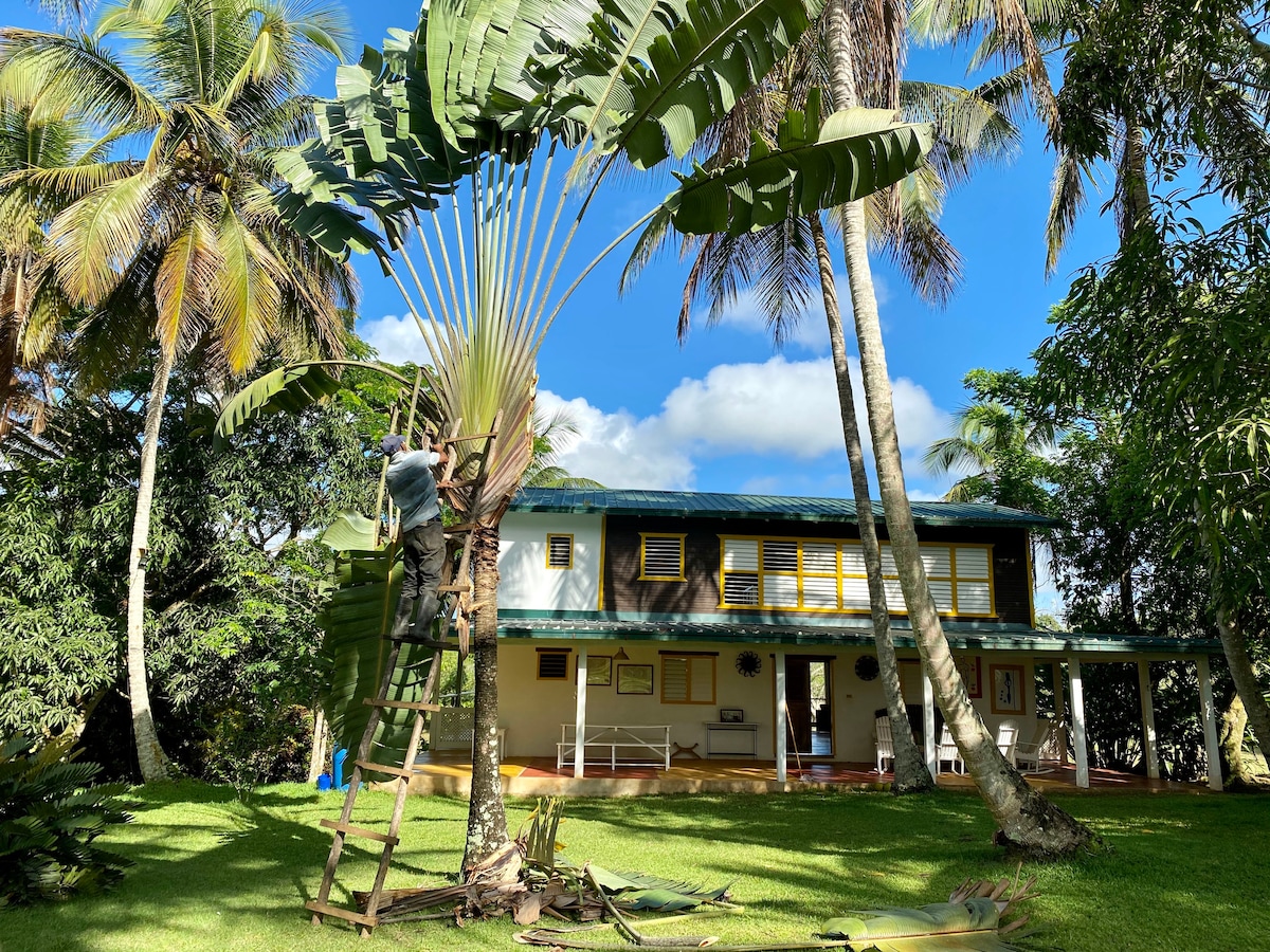 Casa Limon, a unique campo experience