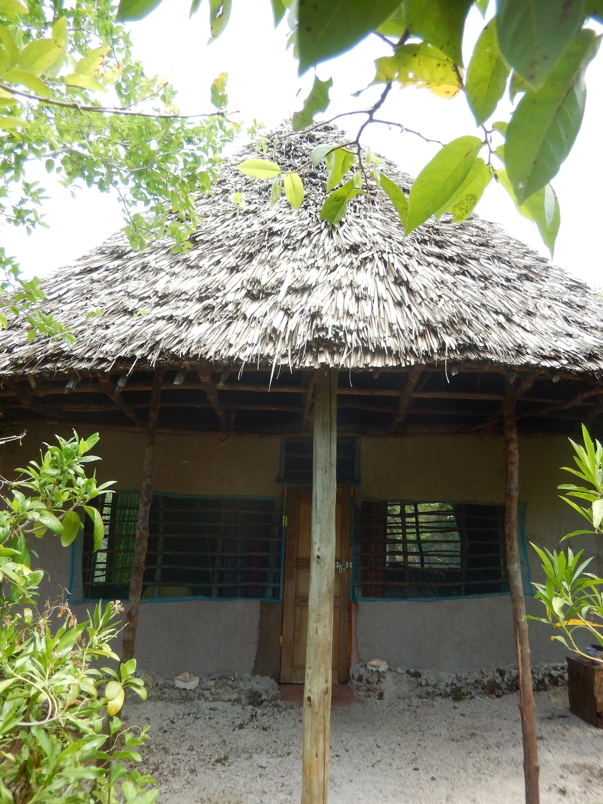 Banda Porini - 瓦西尼岛上的丛林小屋