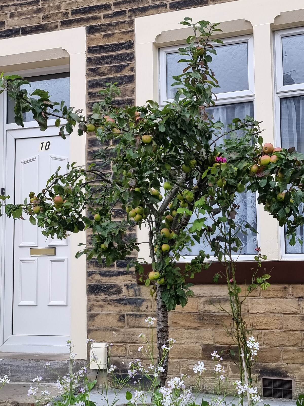 Family Home - Scenic Pendle Hill View