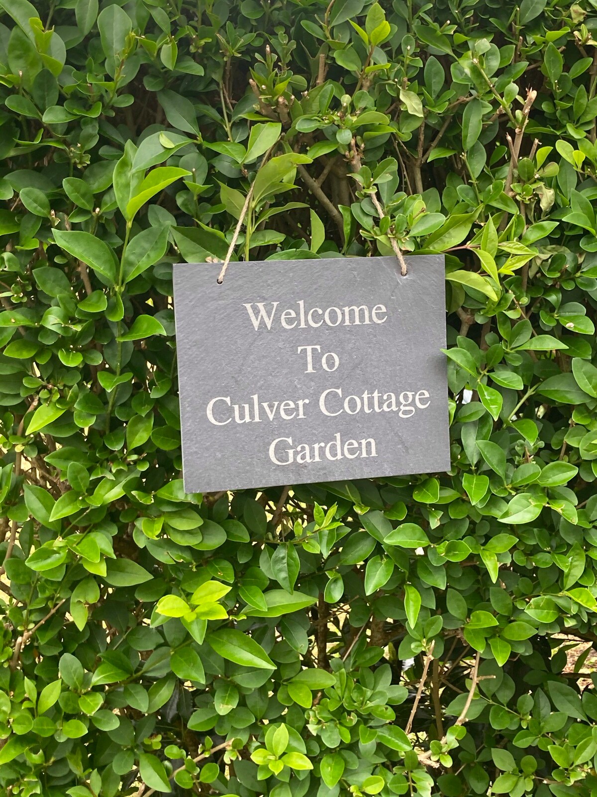 卡尔弗小屋（ Culver Cottage ） ，地理位置优越，适合探索