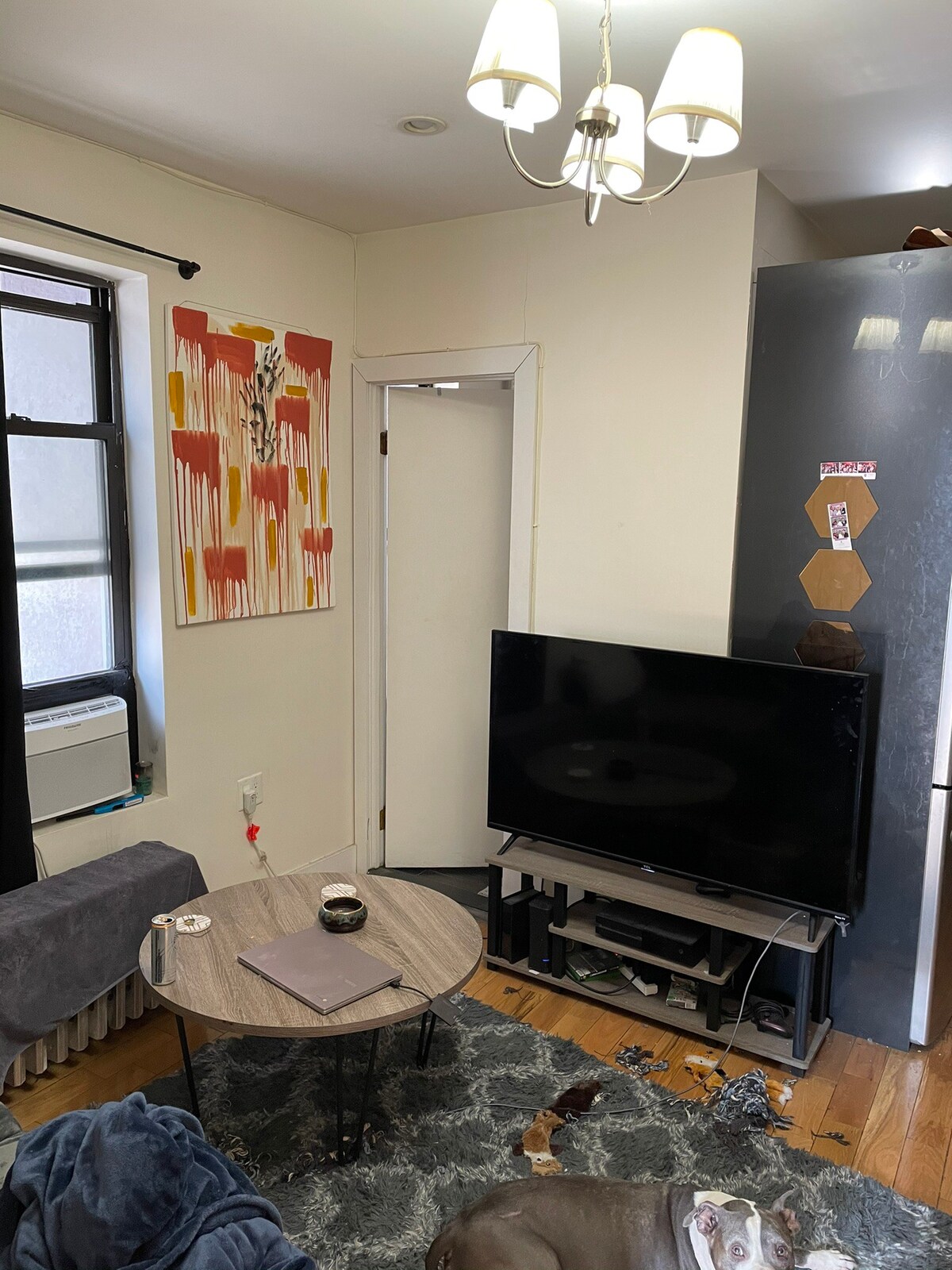 Room in 3 bedroom Williamsburg apt