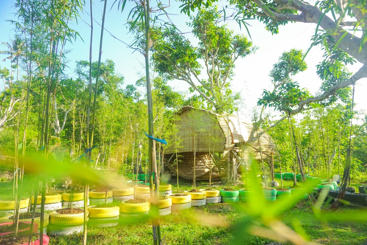 带浴缸的竹子花园景观#生态项目