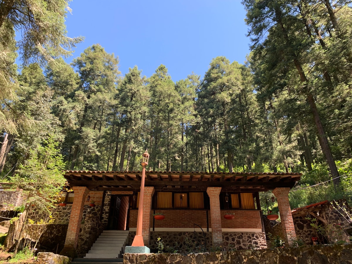 Cabaña en el Bosque con Chimenea y Asador!