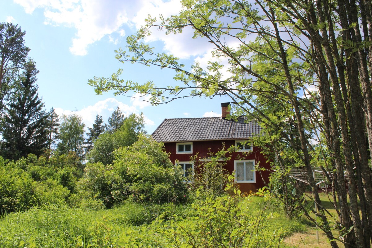 Sågen的Old Forests House