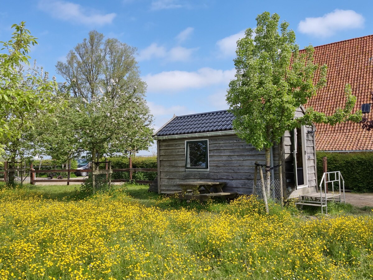 水果园尘土飞扬的小屋