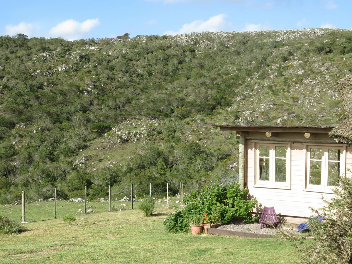 La Chamana-Magica Casa de Barro y madera