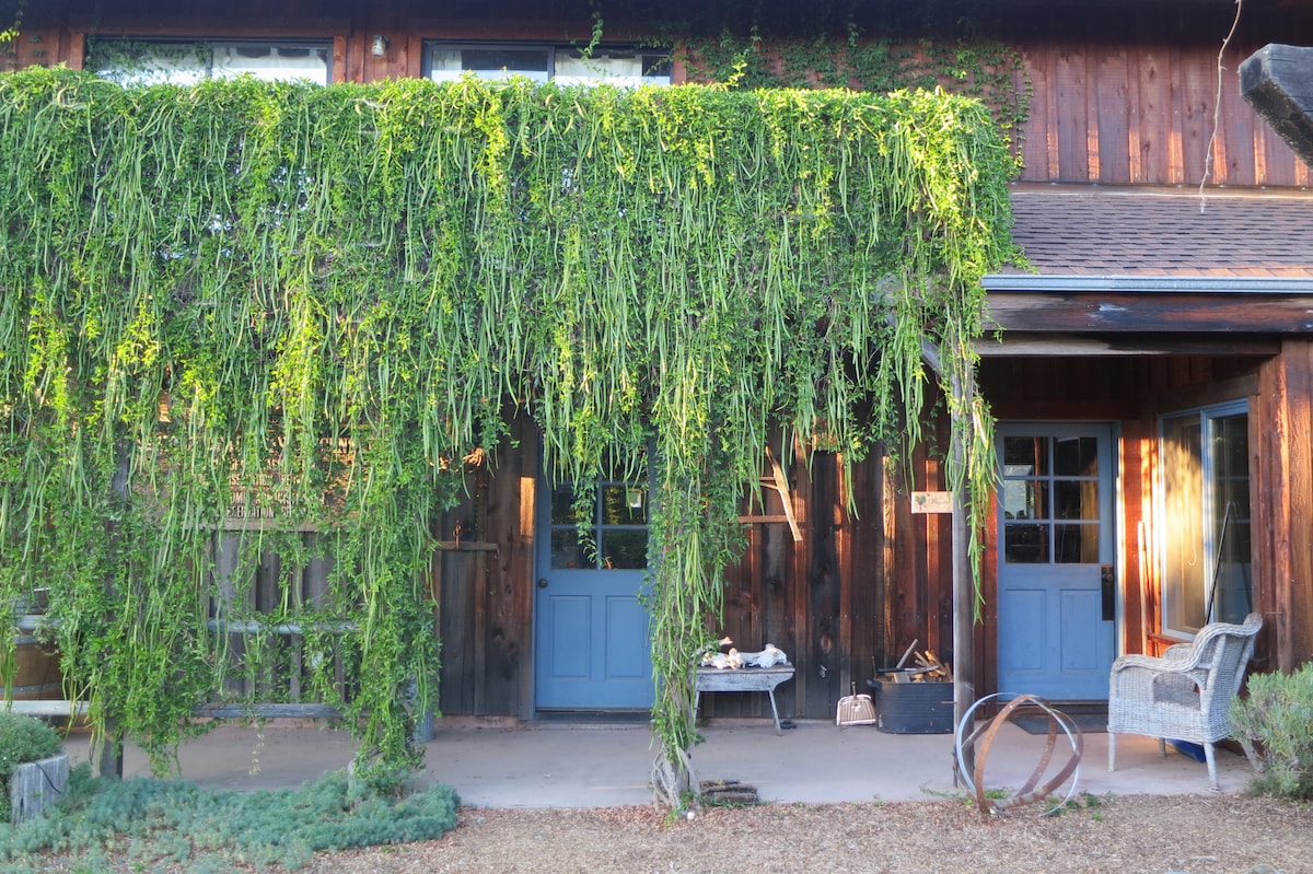 Lodge guest house overlooking Anderson Valley