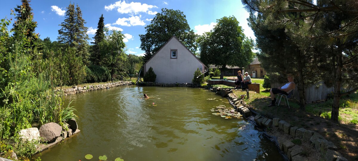 Erholung im Grünen - Lausitzer Seenland