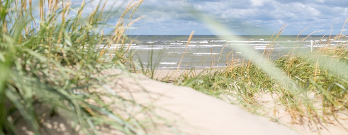 Stort sommarhus i Falkenberg 50 m från stranden