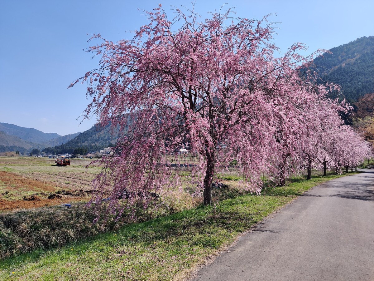 Kumonosou in Miyama美山町　雲野荘