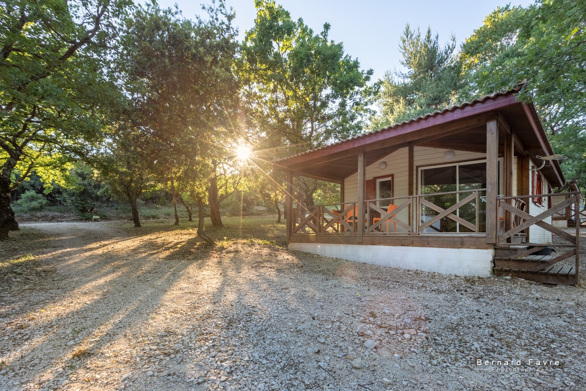 "Le vieux chêne" Chalet avec piscine