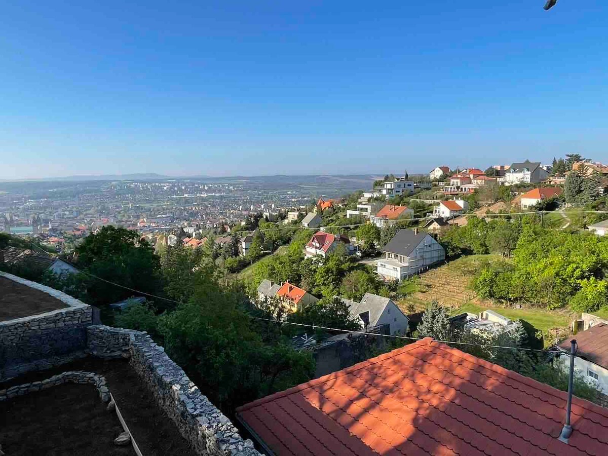 全新房屋，可欣赏佩奇市的美景