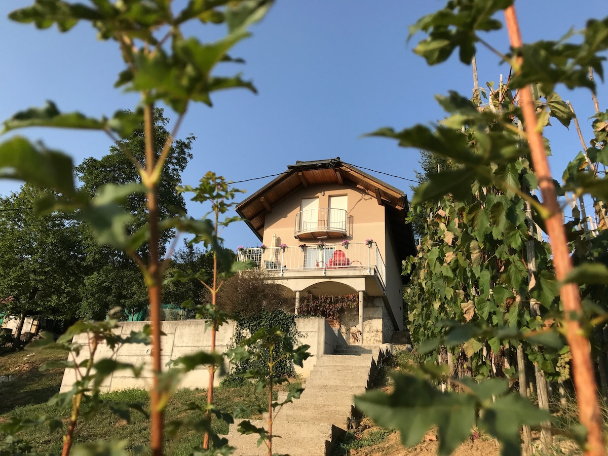 Vineyard cabin in the middle of nature