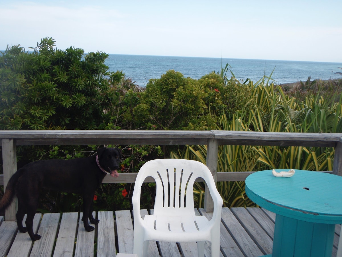 Libby's Quarterdeck in Abaco w/Dockslip