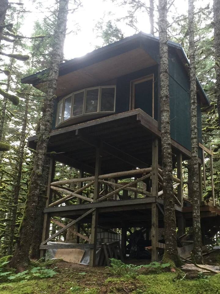 The Eagle 's Nest - Whale Island Treehouse