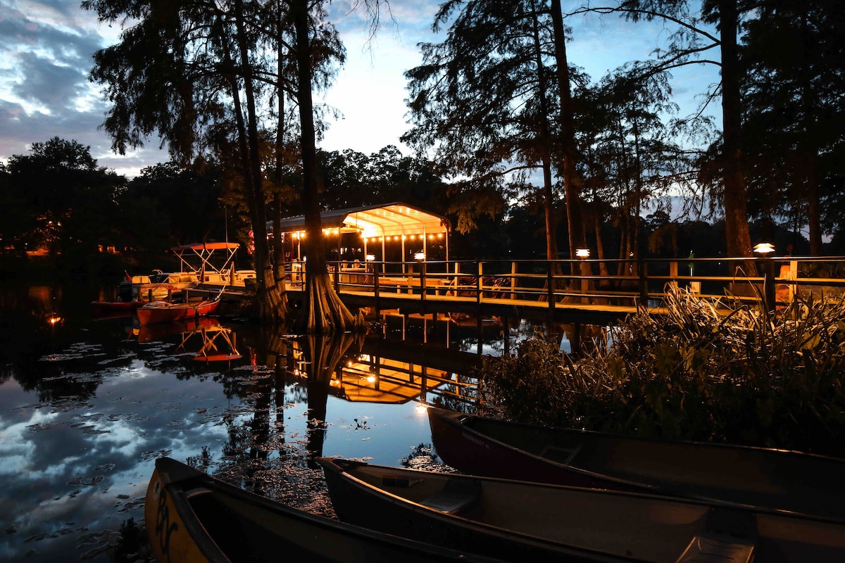 Blue Heron on the Bayou