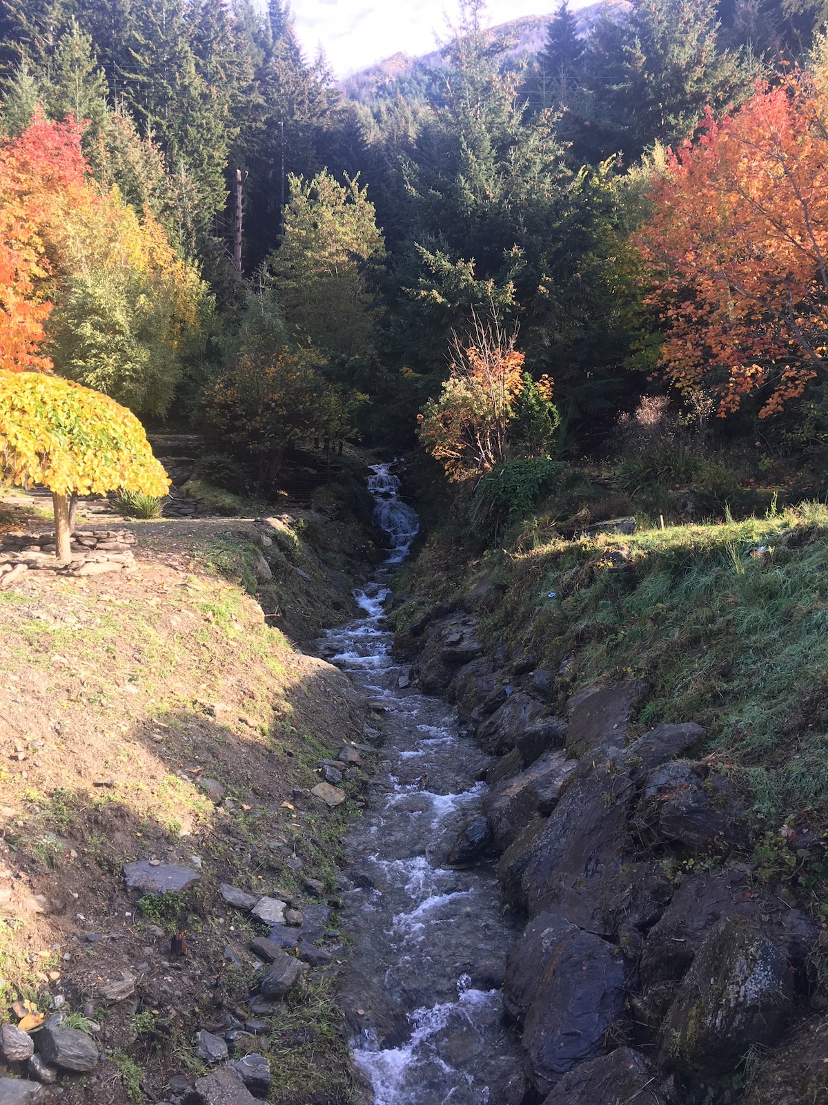 小木屋，山溪，水声和鸟歌