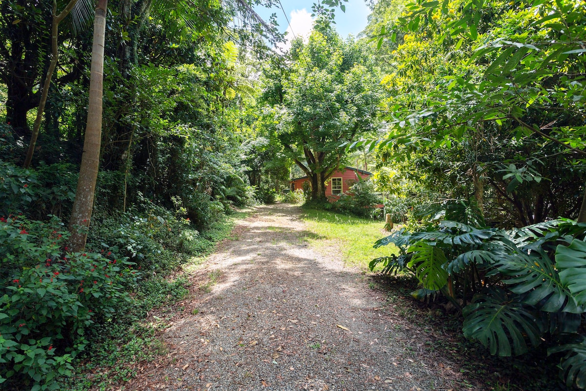 Mount Glorious的热带雨林COTTAGE