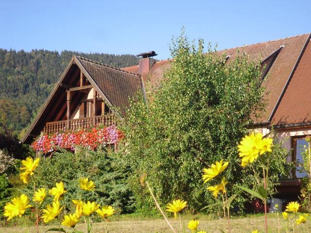 Thannenkirch的民宿