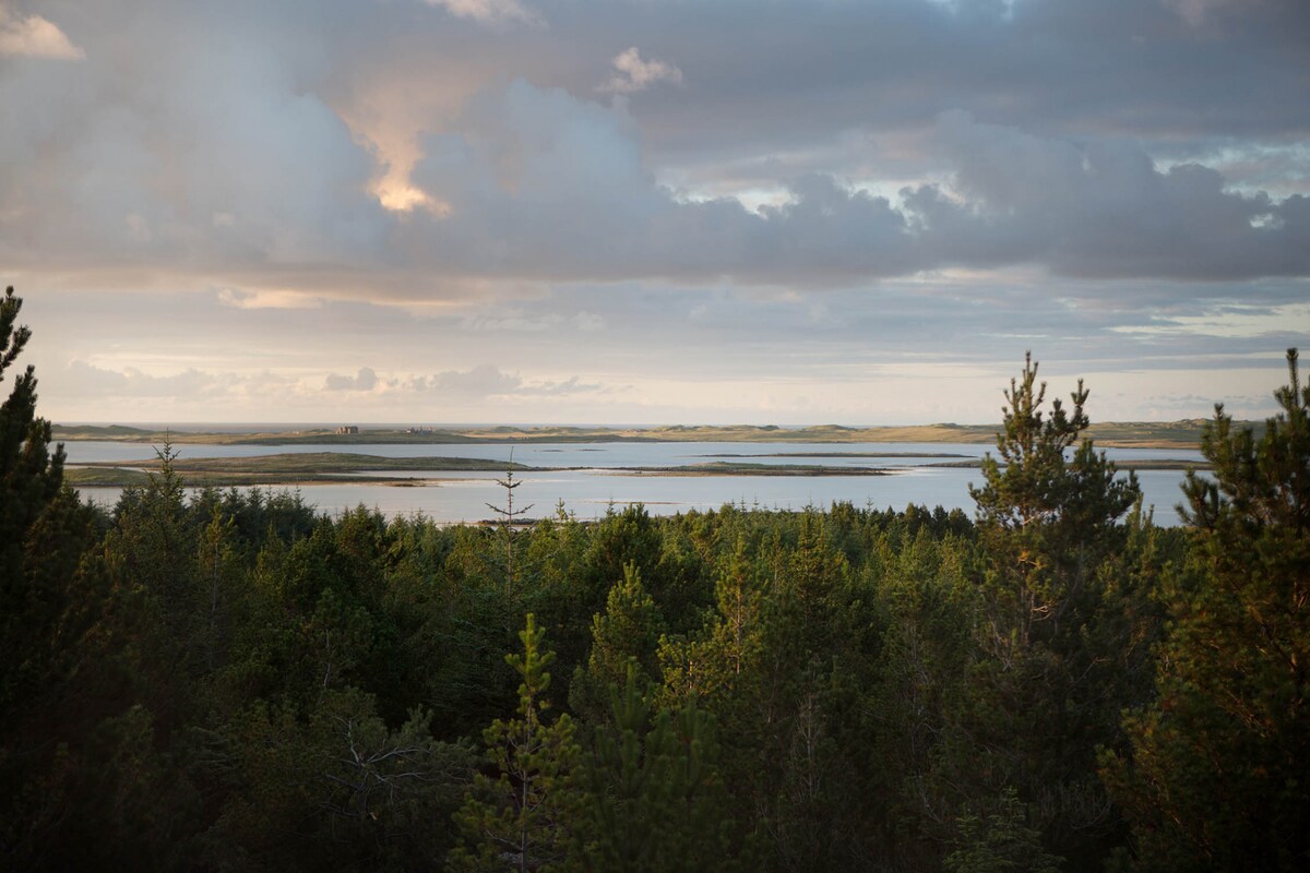 Secluded forest retreat-Uist-Outer Hebrides-Eagle