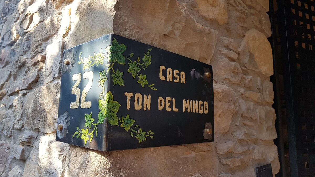 Ton del Mingo House是一座可拆卸插头的房子。