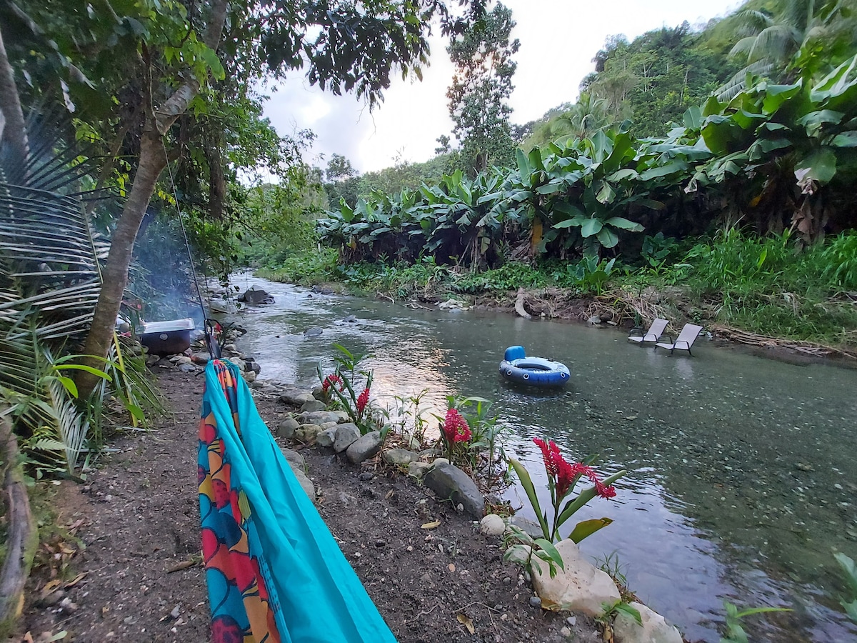 *Magical River Campsite in the Jungle*
