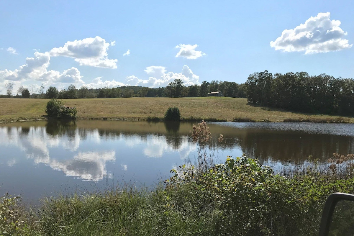 Cabin/Pond/Trails on 156 acres with Million $ View