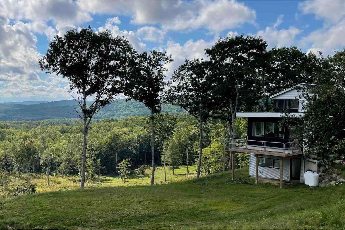 树顶景观（ Treetop Vista ） ：迷人的景色，现代农舍
