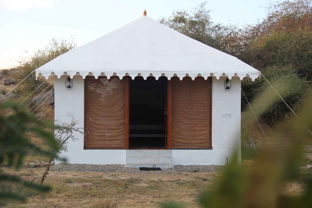 swiss tent with luxury in leopard conservation