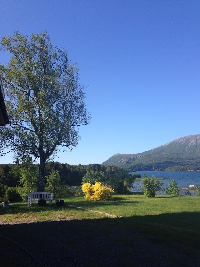 奥雷Stemshaug的Fjord住宿