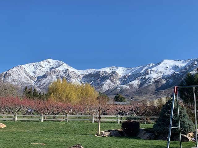 奥格登(Ogden)的民宿