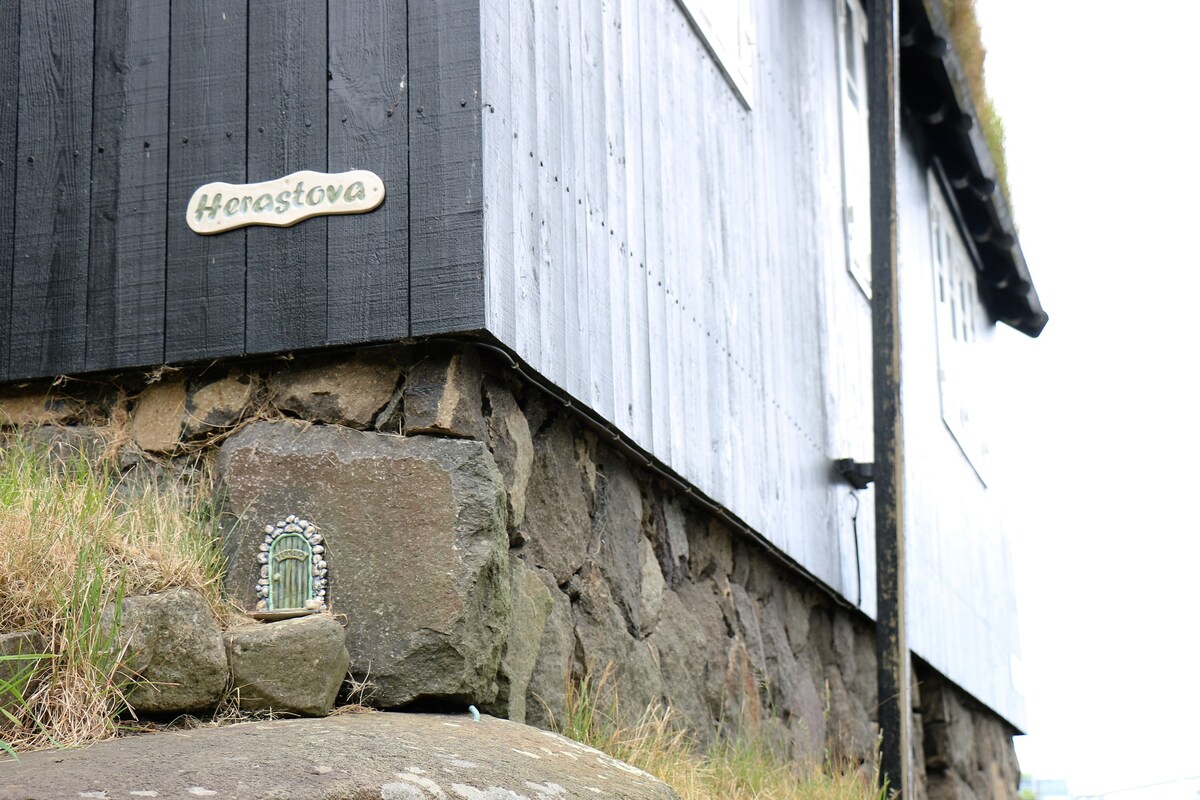 位于古老的Tórshavn的舒适房子-在# Trom