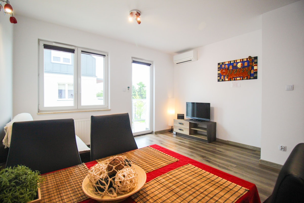 Apartamenty Lublin Stare Miasto《野猫》