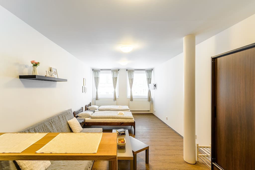 酒店式单间公寓，位于布拉格市中心