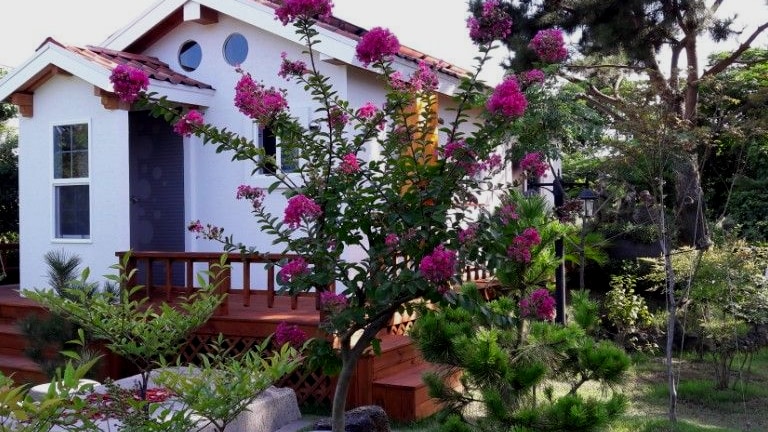 清清川济州岛Hyeopjae -环保的Solvaram House ，充满了美丽的花园和♡气味
两周，一个月，一岁。