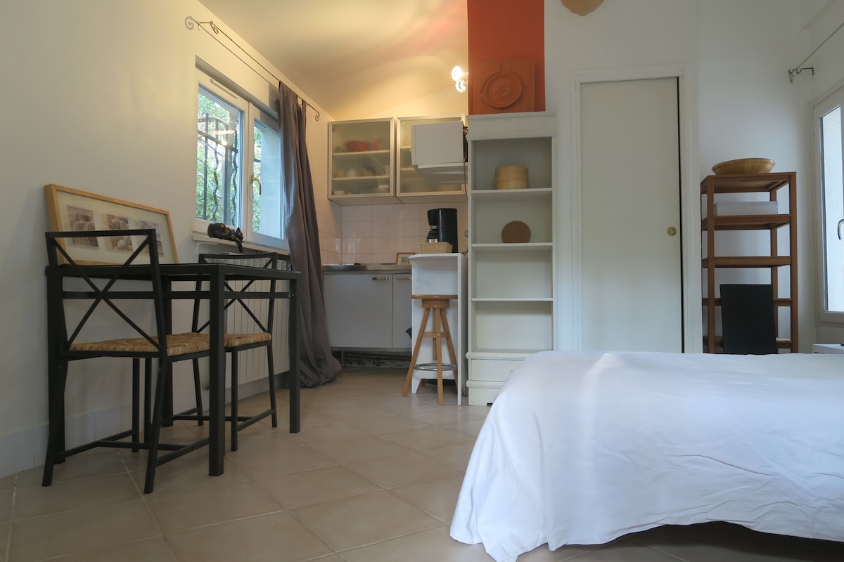 位于Eguilles的单间公寓，距离普罗旺斯艾克斯（ Aix en Provence ） 8公里