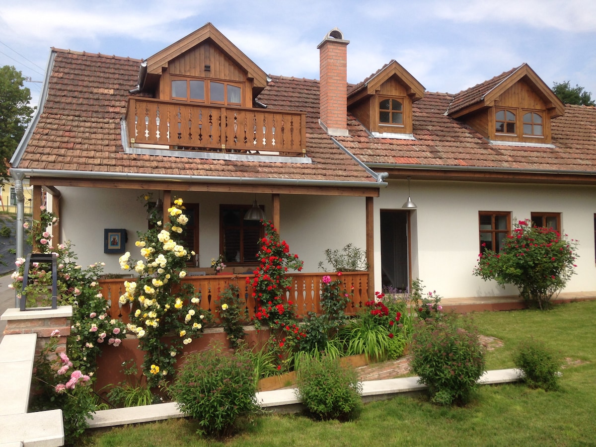 Beautiful countryside house near the river Danube!