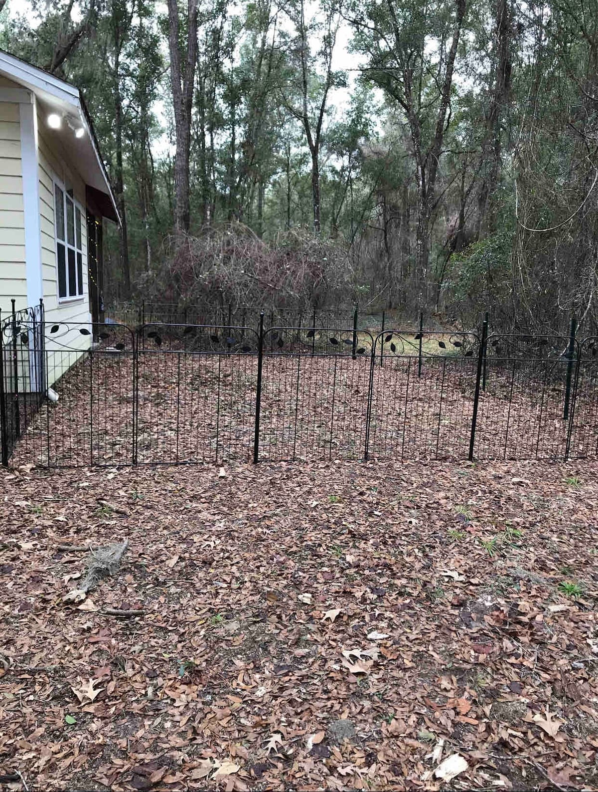 佛罗里达州阿拉丘亚（ Alachua Florida ）宁静小屋