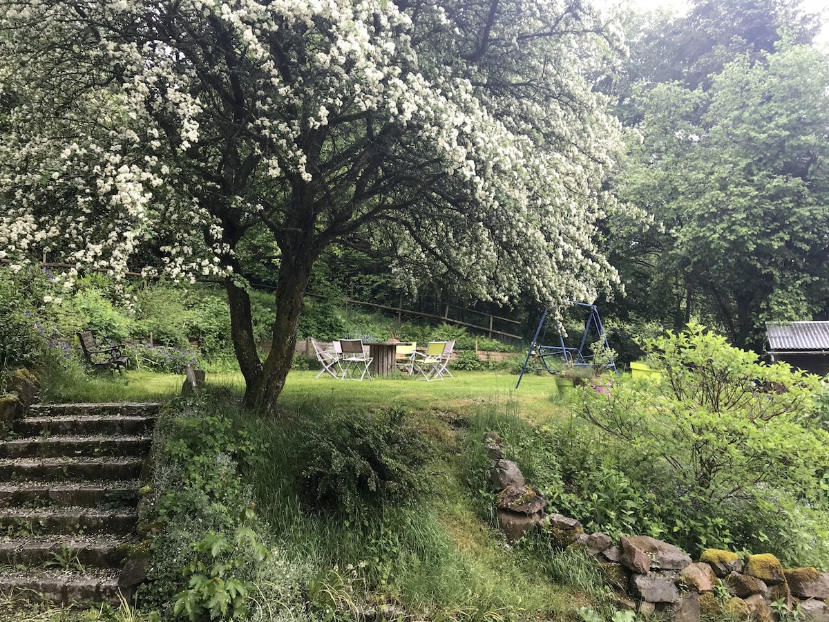 漂亮的房子-布鲁舍谷（ Bruche Valley ） ，靠近Vosges