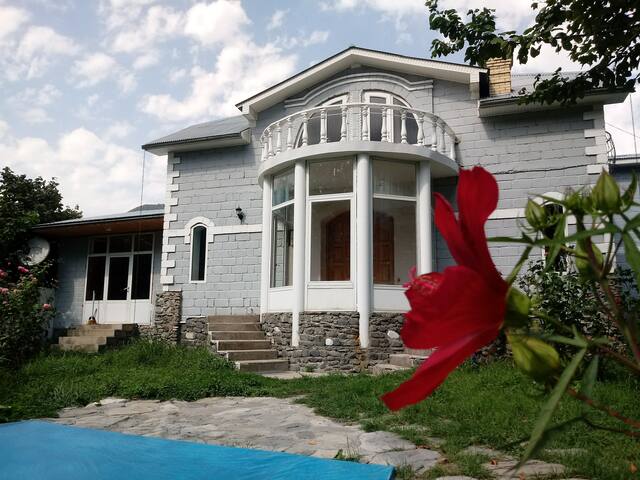 储存 整栋别墅 gebele mehman downtown1 gebele 整栋别墅 11位 · 3