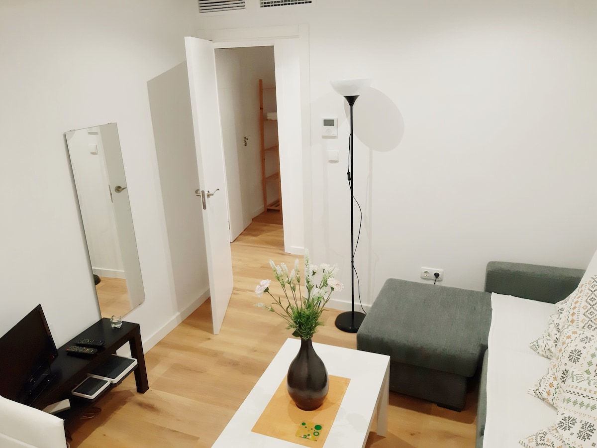 Apartamento céntrico en Granada con garaje gratis